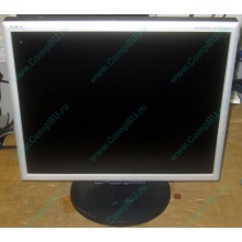 Монитор 17" TFT Nec MultiSync LCD 1770NX (Восточный)