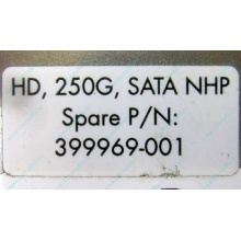 HP 250G 7.2k 432337-001/ 399699-001 / 397377-004 SATA HDD (Восточный)