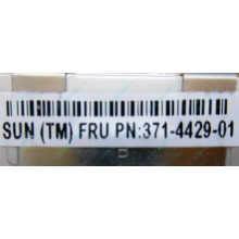 Серверная память SUN (FRU PN 371-4429-01) 4096Mb (4Gb) DDR3 ECC в Восточный, память для сервера SUN FRU P/N 371-4429-01 (Восточный)