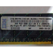 IBM 73P2871 73P2867 2Gb (2048Mb) DDR2 ECC Reg memory (Восточный)