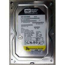 Жесткий диск 160Gb WD WD1602ABKS SATA (Восточный)