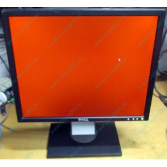 Dell E197F P в Восточный, монитор 19" TFT Dell E197FPb (Восточный)