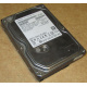 HDD 500Gb Hitachi HDS721050DLE630 донор на запчасти (Восточный)