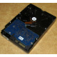 Электроника HDD 500Gb Hitachi HDS721050DLE630 (Восточный)
