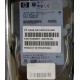 Жёсткий диск 146.8Gb HP 365695-008 404708-001 BD14689BB9 256716-B22 MAW3147NC 10000 rpm Ultra320 Wide SCSI купить в Восточный, цена (Восточный).