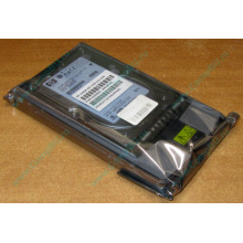 Жёсткий диск 146.8Gb HP 365695-008 404708-001 BD14689BB9 256716-B22 MAW3147NC 10000 rpm Ultra320 Wide SCSI купить в Восточный, цена (Восточный).
