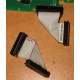 6017B0045701 Шлейф 24pin для Intel C74974-401 T0043401-B01 корпуса SR2400 (Восточный)