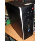 БУ компьютер HP Compaq Elite 8300 (Intel Core i3-3220 (2x3.3GHz HT) /4Gb /250Gb /ATX 320W) - Восточный