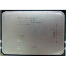 Процессор AMD Opteron 6128 (8x2.0GHz) OS6128WKT8EGO s.G34 (Восточный)