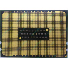 AMD Opteron 6128 OS6128WKT8EGO (Восточный)