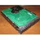 Жесткий диск 300Gb 15k Seagate Cheetach ST3300656SS 15K.6 Dell 9CH066-050 6G SAS (Восточный)