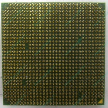 Процессор AMD Sempron 3000+ (1.6GHz) SDA3000IAA3CN s.AM2 (Восточный)